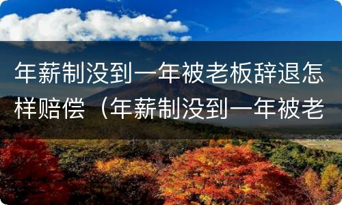 年薪制没到一年被老板辞退怎样赔偿（年薪制没到一年被老板辞退怎样赔偿呢）