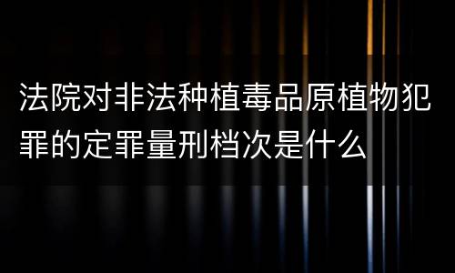法院对非法种植毒品原植物犯罪的定罪量刑档次是什么