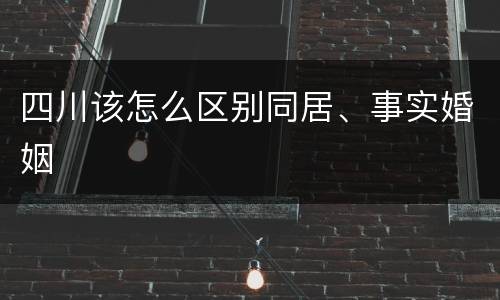 四川该怎么区别同居、事实婚姻