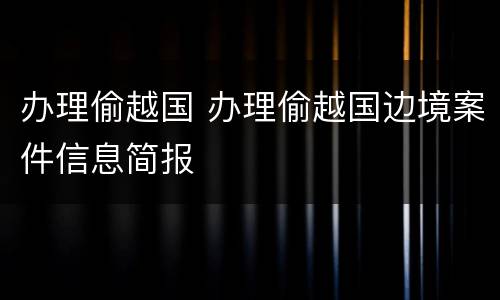 办理偷越国 办理偷越国边境案件信息简报