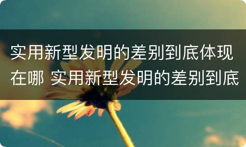 实用新型发明的差别到底体现在哪 实用新型发明的差别到底体现在哪些方面?