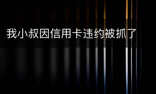 我小叔因信用卡违约被抓了