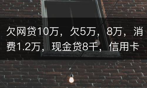 欠网贷10万，欠5万，8万，消费1.2万，现金贷8千，信用卡5万怎么办