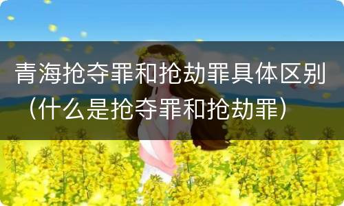 青海抢夺罪和抢劫罪具体区别（什么是抢夺罪和抢劫罪）