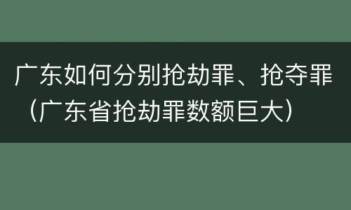 广东如何分别抢劫罪、抢夺罪（广东省抢劫罪数额巨大）