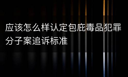 应该怎么样认定包庇毒品犯罪分子案追诉标准