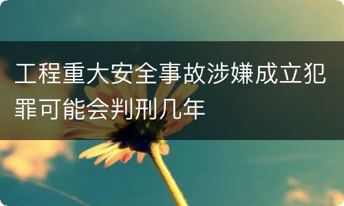 工程重大安全事故涉嫌成立犯罪可能会判刑几年