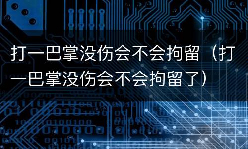 打一巴掌没伤会不会拘留（打一巴掌没伤会不会拘留了）
