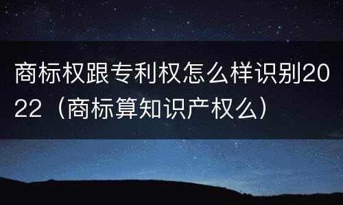 商标权跟专利权怎么样识别2022（商标算知识产权么）