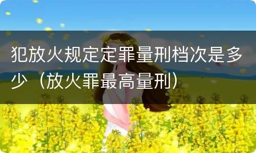 犯放火规定定罪量刑档次是多少（放火罪最高量刑）