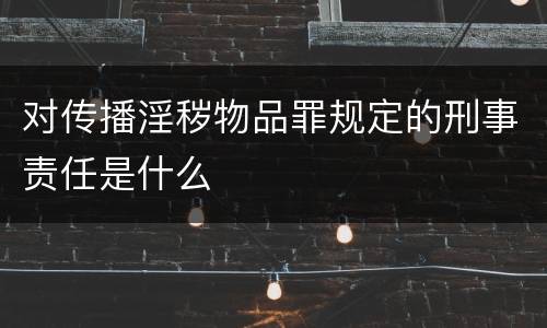 对传播淫秽物品罪规定的刑事责任是什么