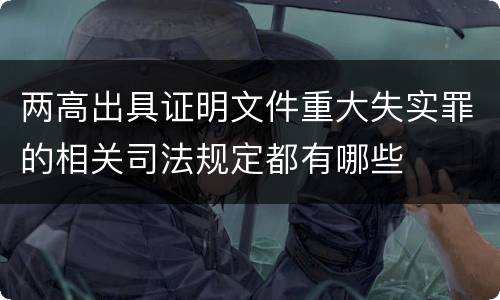 两高出具证明文件重大失实罪的相关司法规定都有哪些