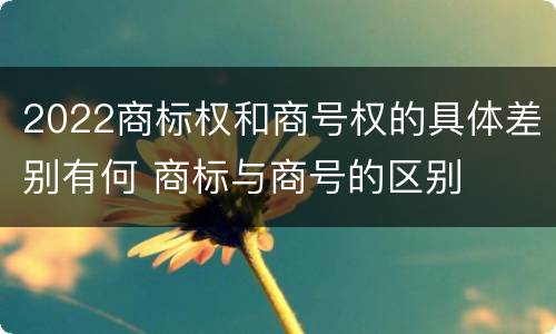 2022商标权和商号权的具体差别有何 商标与商号的区别