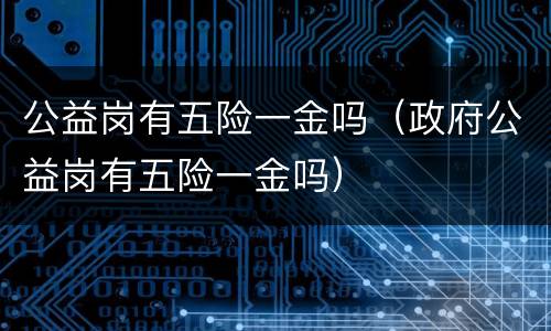 公益岗有五险一金吗（政府公益岗有五险一金吗）