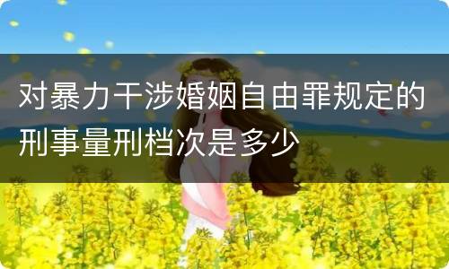 对暴力干涉婚姻自由罪规定的刑事量刑档次是多少