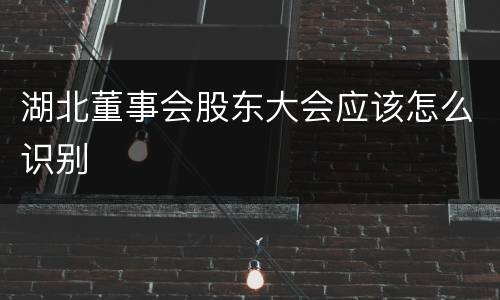 湖北董事会股东大会应该怎么识别