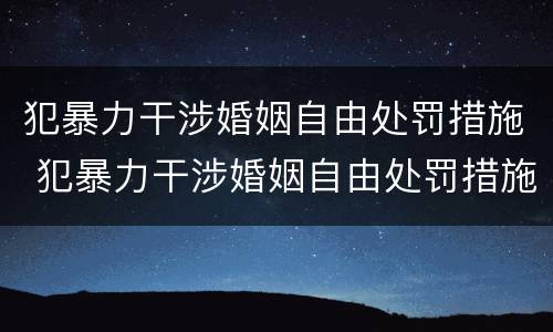 犯暴力干涉婚姻自由处罚措施 犯暴力干涉婚姻自由处罚措施有哪些
