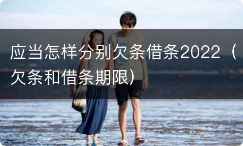 应当怎样分别欠条借条2022（欠条和借条期限）