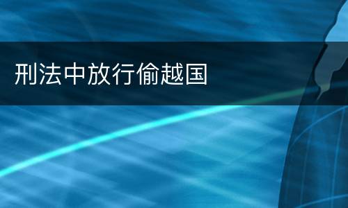 刑法中放行偷越国