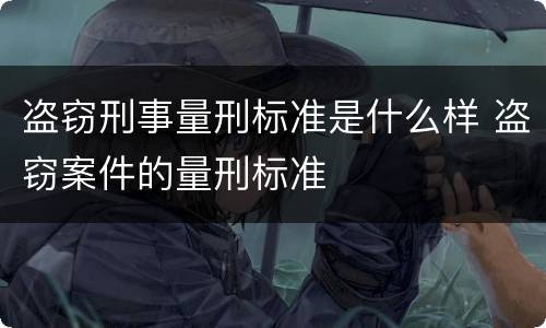 盗窃刑事量刑标准是什么样 盗窃案件的量刑标准