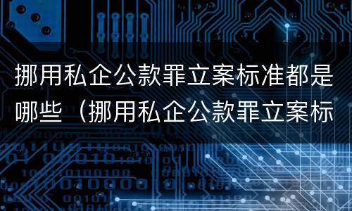 挪用私企公款罪立案标准都是哪些（挪用私企公款罪立案标准都是哪些规定）