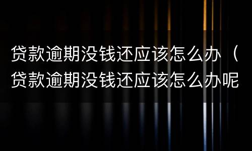 贷款逾期没钱还应该怎么办（贷款逾期没钱还应该怎么办呢）