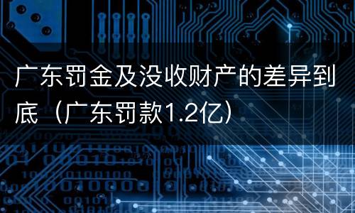 广东罚金及没收财产的差异到底（广东罚款1.2亿）