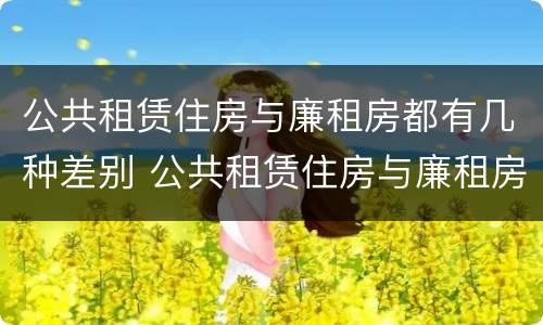 公共租赁住房与廉租房都有几种差别 公共租赁住房与廉租房都有几种差别吗