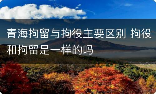 青海拘留与拘役主要区别 拘役和拘留是一样的吗