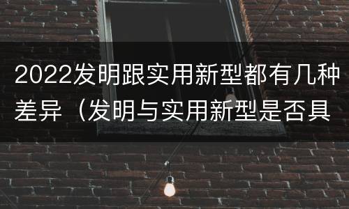 2022发明跟实用新型都有几种差异（发明与实用新型是否具有实用性）