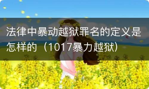 法律中暴动越狱罪名的定义是怎样的（1017暴力越狱）
