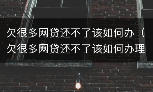 欠很多网贷还不了该如何办（欠很多网贷还不了该如何办理）