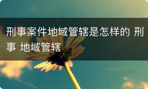 刑事案件地域管辖是怎样的 刑事 地域管辖