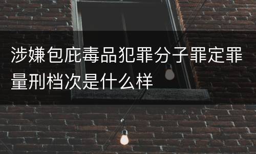 涉嫌包庇毒品犯罪分子罪定罪量刑档次是什么样