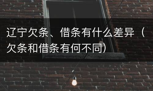 辽宁欠条、借条有什么差异（欠条和借条有何不同）