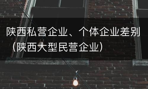 陕西私营企业、个体企业差别（陕西大型民营企业）
