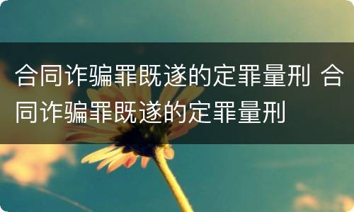 合同诈骗罪既遂的定罪量刑 合同诈骗罪既遂的定罪量刑