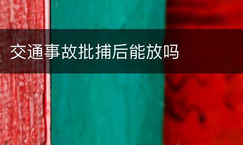 交通事故批捕后能放吗