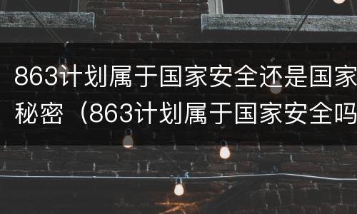 863计划属于国家安全还是国家秘密（863计划属于国家安全吗）
