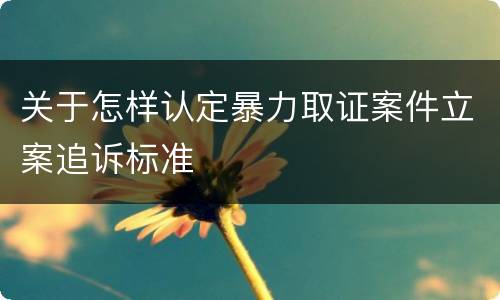 关于怎样认定暴力取证案件立案追诉标准