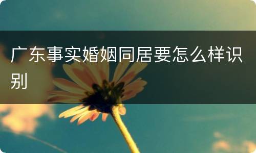 广东事实婚姻同居要怎么样识别