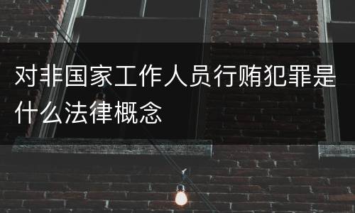 对非国家工作人员行贿犯罪是什么法律概念