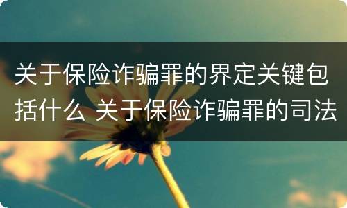 关于保险诈骗罪的界定关键包括什么 关于保险诈骗罪的司法解释