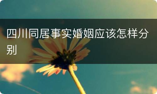 四川同居事实婚姻应该怎样分别