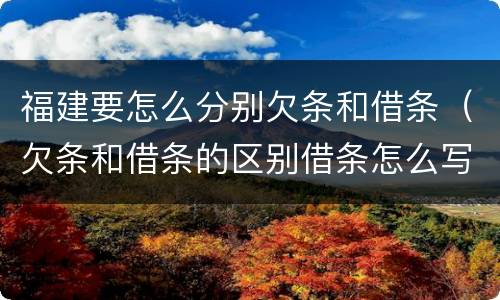 福建要怎么分别欠条和借条（欠条和借条的区别借条怎么写）
