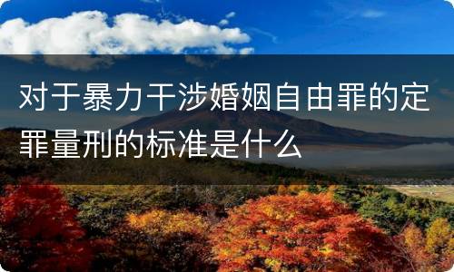 对于暴力干涉婚姻自由罪的定罪量刑的标准是什么
