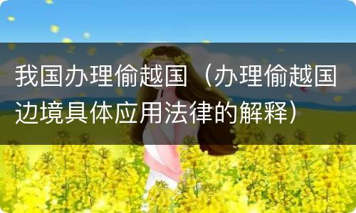 我国办理偷越国（办理偷越国边境具体应用法律的解释）
