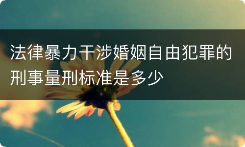 法律暴力干涉婚姻自由犯罪的刑事量刑标准是多少