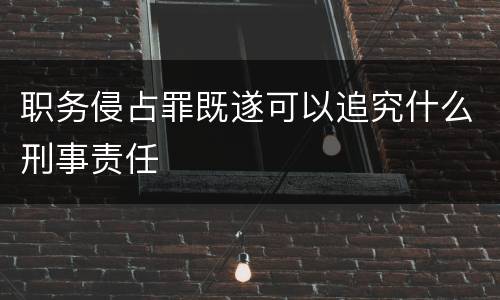 职务侵占罪既遂可以追究什么刑事责任