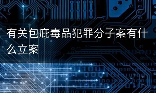 有关包庇毒品犯罪分子案有什么立案